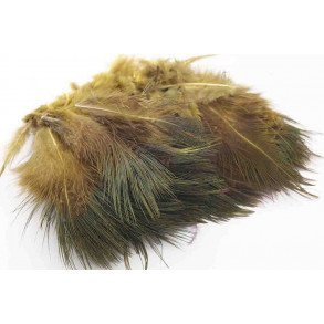 Ringneck - Golden Olive