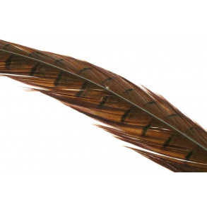 Ringneck Pheasant Tail 1 Pair - Natural