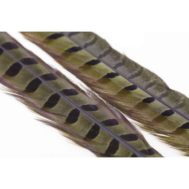 Ringneck Pheasant Tail 1 Pair - Olive