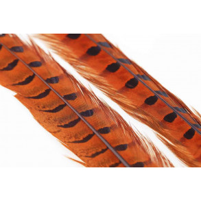 Ringneck Pheasant Tail 1 Pair - Orange