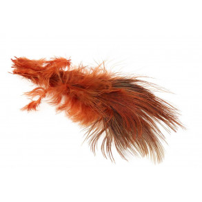 Ringneck Rump Bleached - Fiery Brown