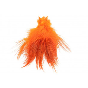 Ringneck Rump Bleached - Hot orange