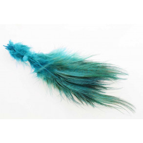 Ringneck Rump Bleached - King Fisher Blue