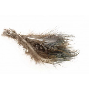 Ringneck Rump Bleached - Natural