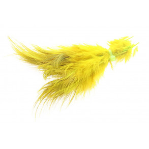 Ringneck Rump Bleached - Sunburst Yellow