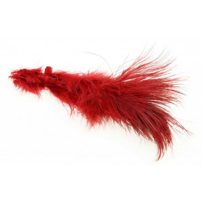 Ringneck Rump Bleached Scarlet Red