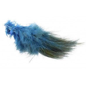 Ringneck Rump Bleached- Royal Blue