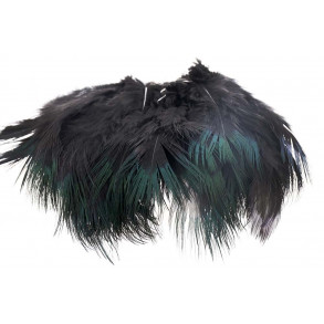 Ringneck Rump Hackle - Black