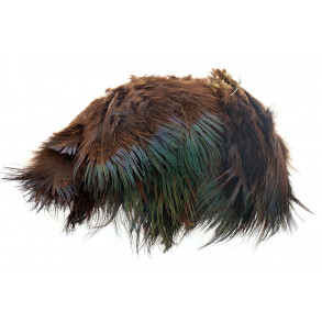 Ringneck Rump Hackle - Chocolate Brown