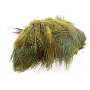 Ringneck Rump Hackle - Golden Yellow