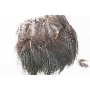 Ringneck Rump Hackle - Natural