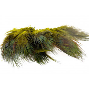 Ringneck Rump Hackle - Olive