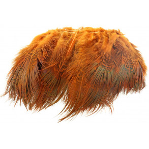 Ringneck Rump Hackle - Orange