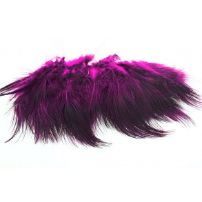 Ringneck Rump Hackle - Purple