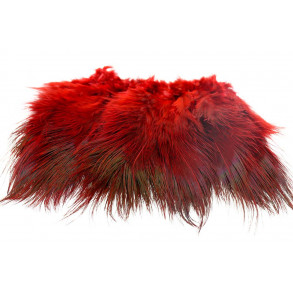 Ringneck Rump Hackle - Red