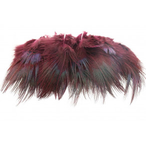 Ringneck Rump Hackle - Wine