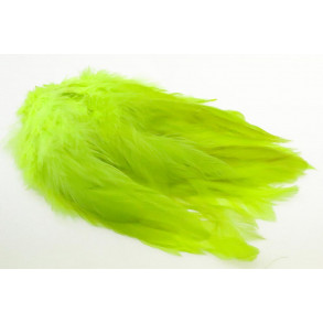 Schlappen - Flourescent Chatreuse