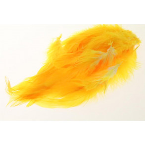 Schlappen - Sunburst