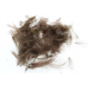 Select Cdc 1 gram - Dark pardo