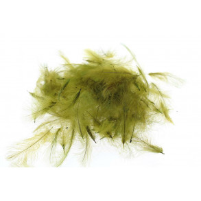 Select Cdc 1 gram - Olive