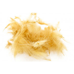 Select Cdc 1 gram - Very Lt. Brown