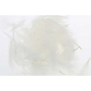 Select Cdc 1 gram - White