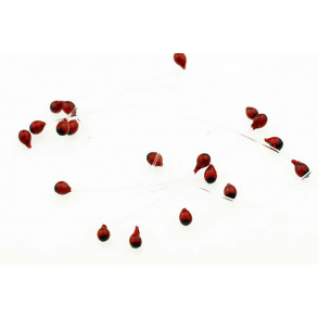 Shrimp & crab Eyes - Red