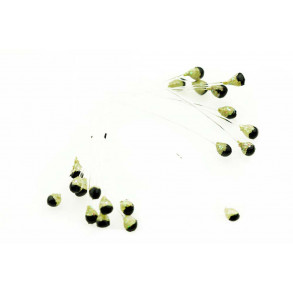 Shrimp & crab Eyes - Shrimp