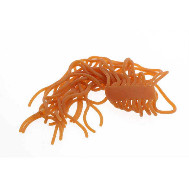 Sili Squirmy Wormy - Earthworm