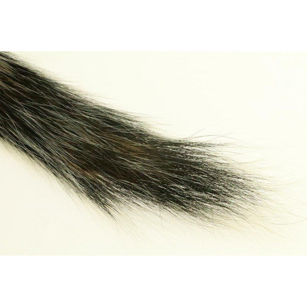Silver Tip Squirrel Tail - Natural Gray