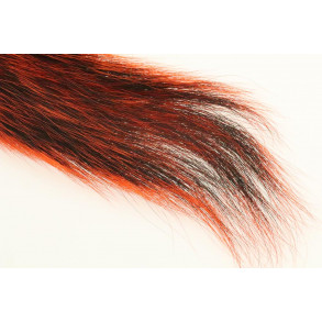 Silver Tip Squirrel Tail - Orange