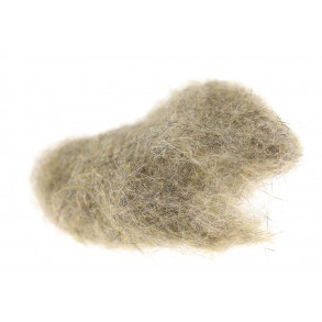 SLF Squirrel - Natur fox