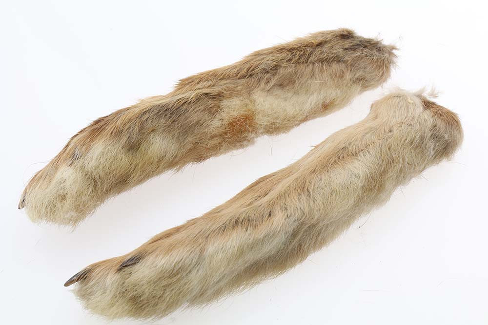 Snowshoe Rabbit Foot - Natural - Snowshoe Rabbit foot - Jægeren og ...