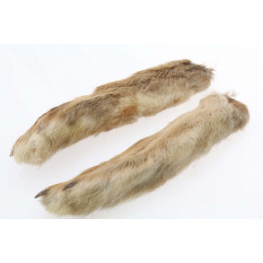 Snowshoe Rabbit Foot - Natural