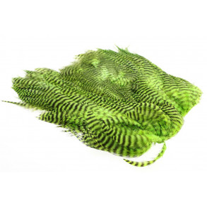 Soft Hackle Patch - Grizzly Chartreuse