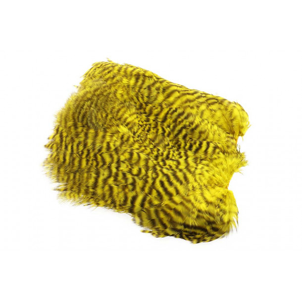 Soft Hackle Patch Gz. - Golden O