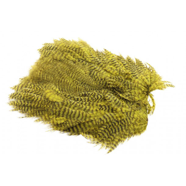 Soft Hackle Patch Gz. - Olive