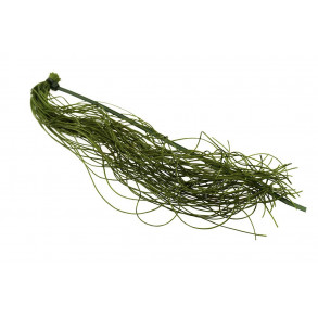 Spanflex - Dark Olive