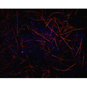 Spawn's UV Simi Seal Dubbing - UV Bleeding Black
