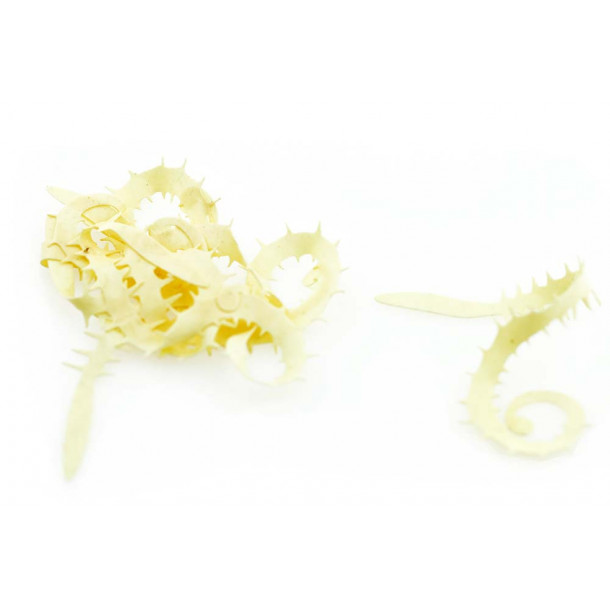 Spiked Rolla tails - White (M)