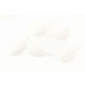 Streamer Head - White