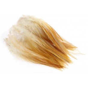 Strung R. Sad.Long. - Nat.Ginge