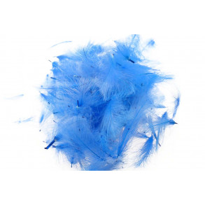 Swiss CDC Standard - Blue King 36