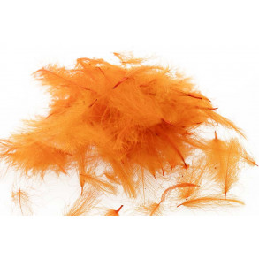 Swiss CDC Standard - Orange 29