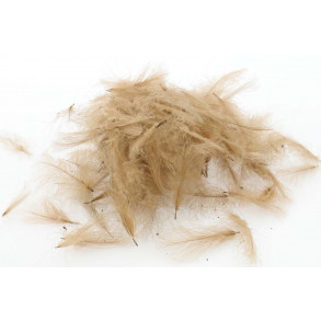 Swiss CDC Standard - Pale Pardo 18