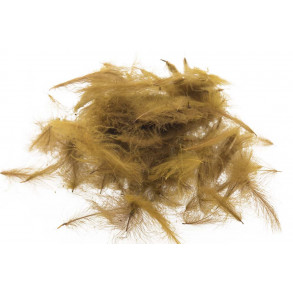 Swiss CDC Standard - Pardo Olive 21