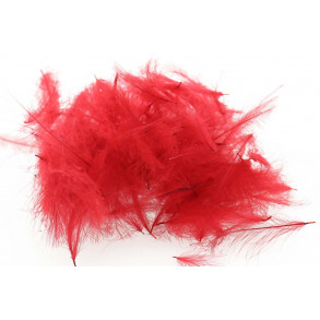 Swiss CDC Standard - Red 38