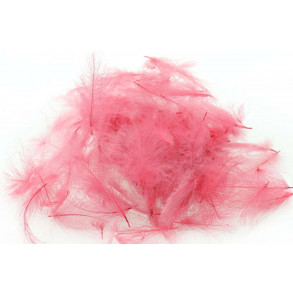 Swiss CDC Standard - Rosa Lilla 31