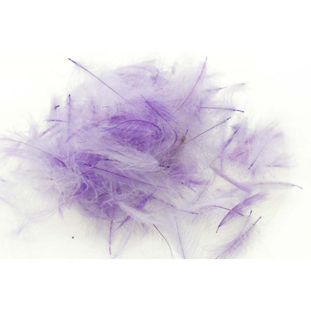 Swiss CDC Standard - Violet 32