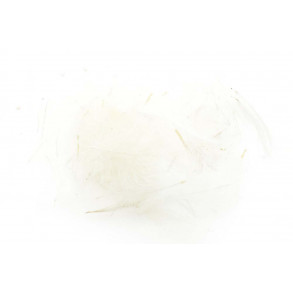 Swiss CDC Standard - White 1